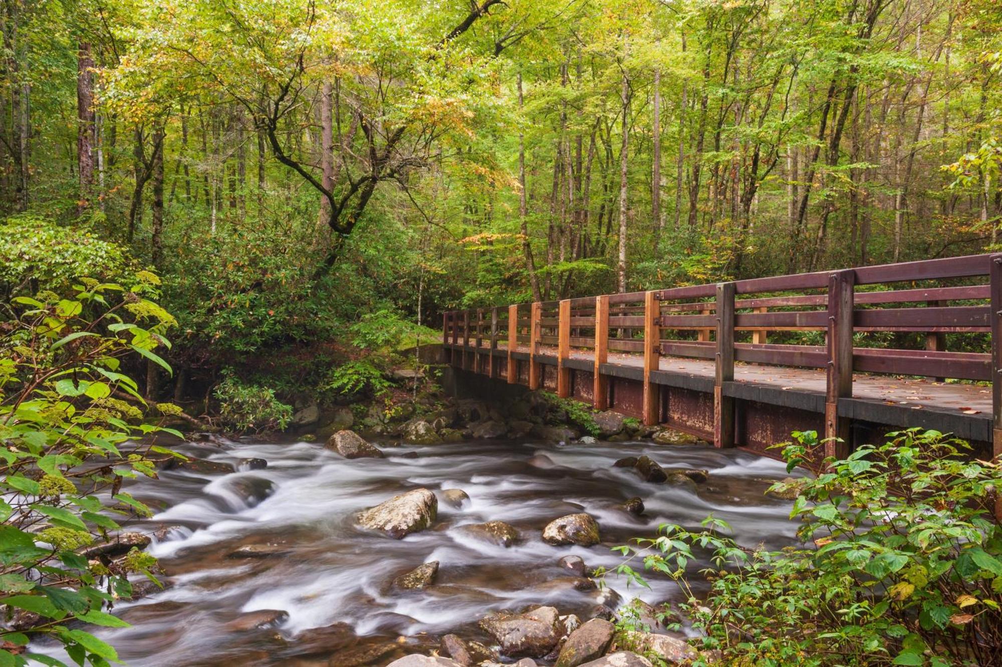 The Nut House, Hot Tub, Game Room, Wifi, 1089 Free Tickets Each Paid Day, Dollywood And More! Pigeon Forge Eksteriør billede